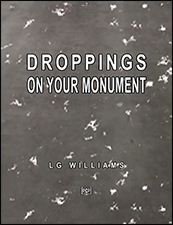 Droppings On Your Monument: LG Williams Installations At Blum & Poe